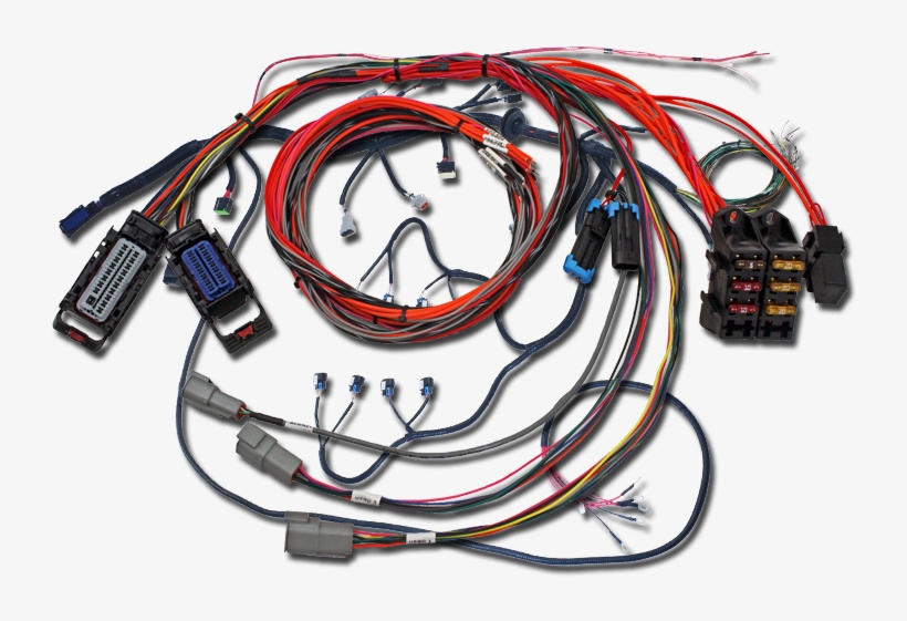 Infinity Ecu - Electrical Wiring, transparent png #3840667