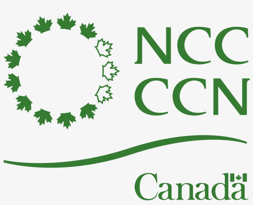 National Capital Commission Logo, transparent png #3841118