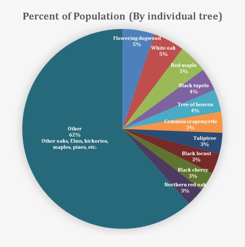 Tree Species Distribution - Maple, transparent png #3841733