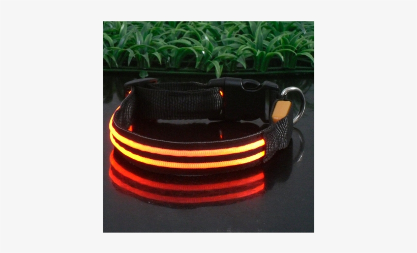A1 - Sassy Dog Wear 16-28-inch Double-line Led Flashing, transparent png #3841913