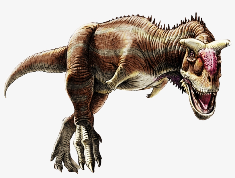 Dinosaur Facts On Twitter - Carnotaurus Mass, transparent png #3842028