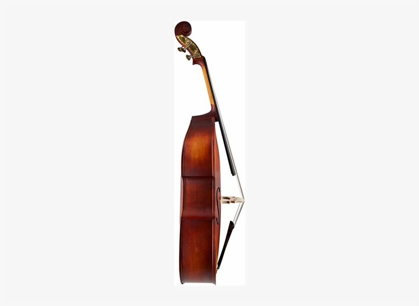 Knilling 1200 Sebastian Deluxe Laminate Series Double - Gewa Allegro Double Bass, transparent png #3842072