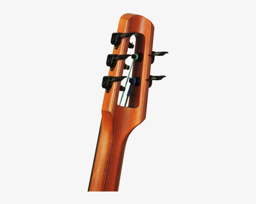 Eu Electric Upright Bass - Ns Design Eu Bass, transparent png #3842135