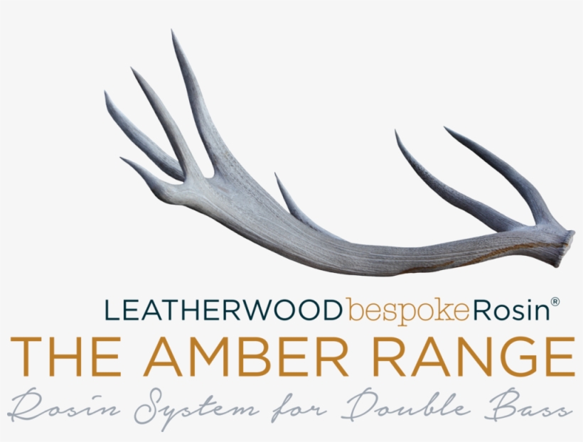 Theamberrange Logo - Chantal Lacroix Par Misencil, transparent png #3842628