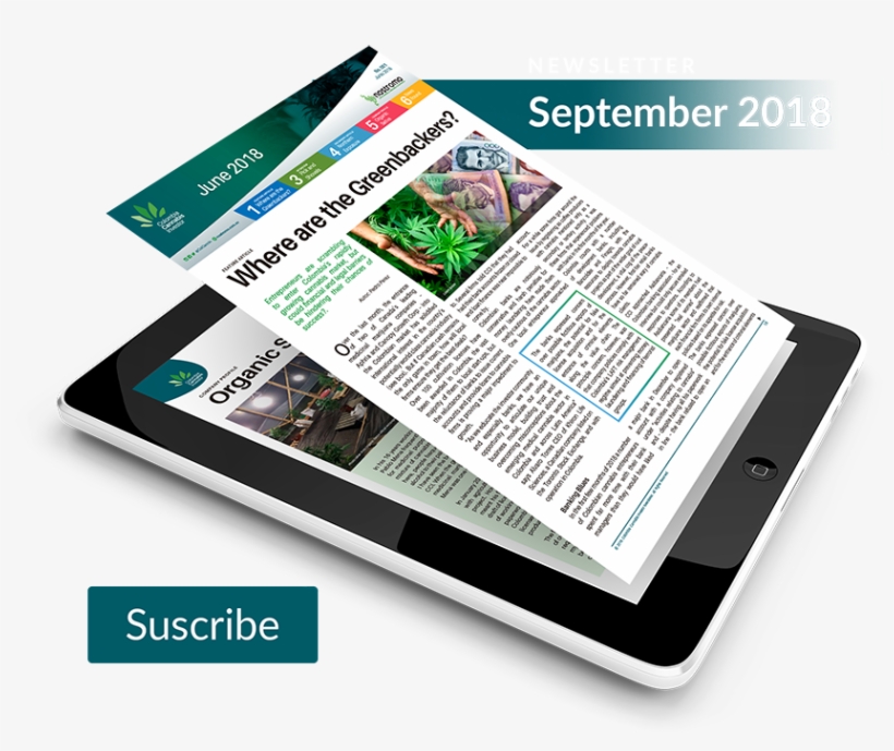 Apple Ipad Family, transparent png #3843135