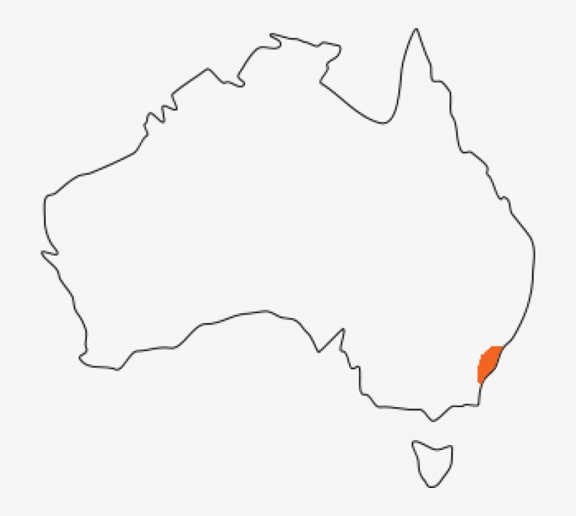 Show Image Caption Outline Of Australia - Line Art, transparent png #3843216
