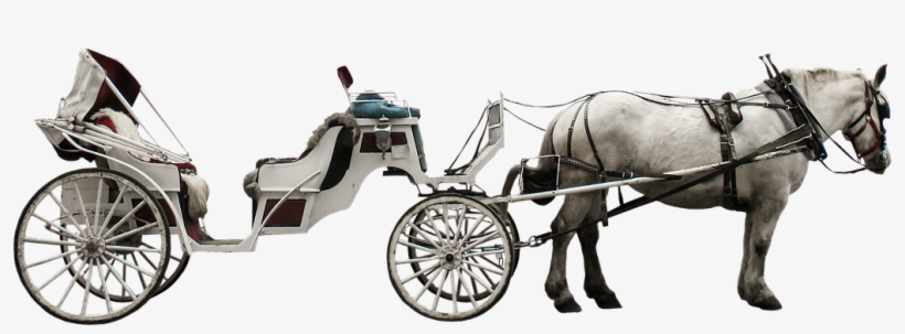 Horse & Carriage - Coach Horses Png, transparent png #3843324