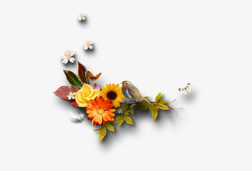 Png Csillagok Sorel Választok - Tubes Automne, transparent png #3843745