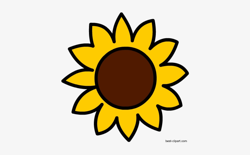 yellow sunflower clipart outline