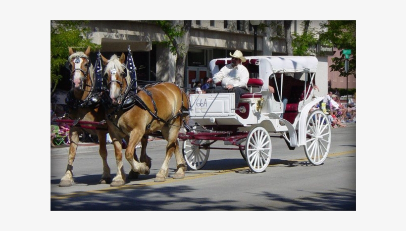 Have A Galloping Good Time At Your Next Event Add Carriage - Duncan Carriages, transparent png #3843955