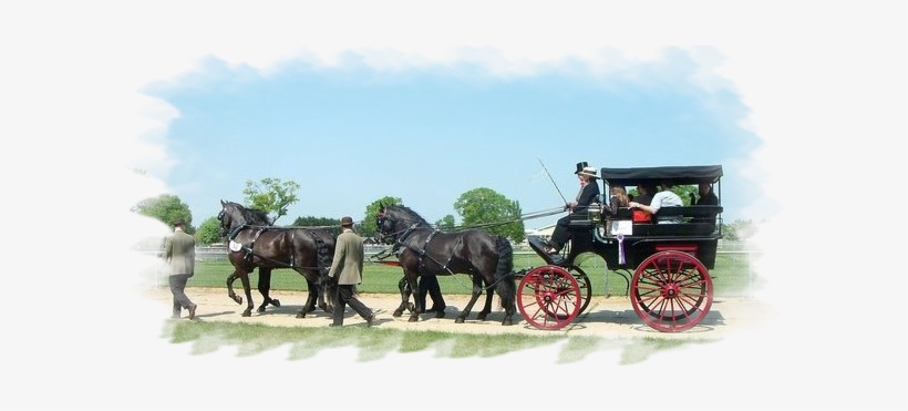 Were Generally Used As Utility Vehicles, Driven By - Horse And Buggy, transparent png #3844085