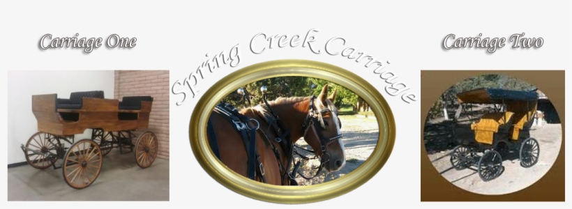 Centrally Located In Southwest Colorado, We Can Easily - Carriages Weddings & Events, transparent png #3844140