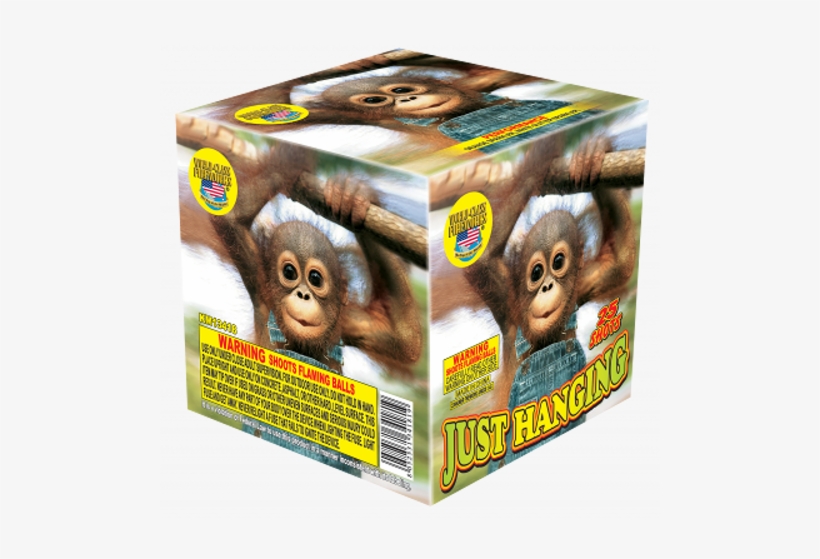 Just Hanging - Just Hanging Firework, transparent png #3844188