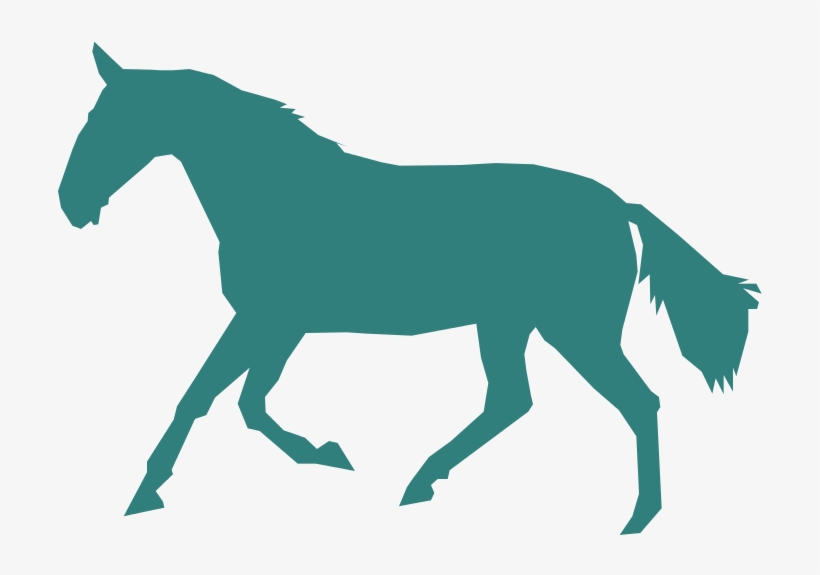 Gaited Horse - Horse Png, transparent png #3844427