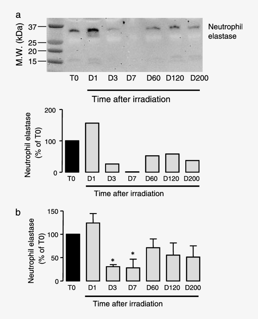 Upper Panel - Diagram, transparent png #3844457