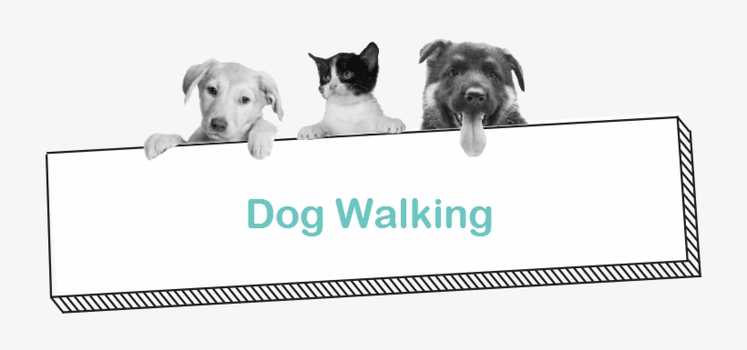 Can't Walk Your Dog For Other Reasons A Dog Walk With - State University Of Malang, transparent png #3844490