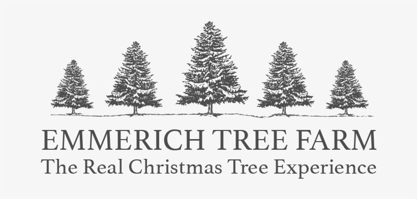 Christmas Tree, transparent png #3844522