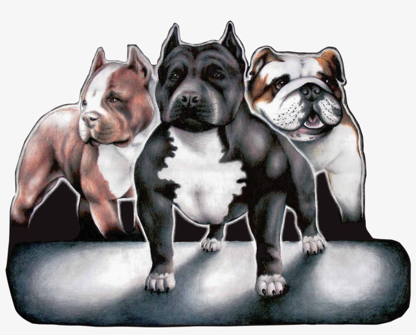 Bullypicture Dogs - Maximum Bully, transparent png #3844524