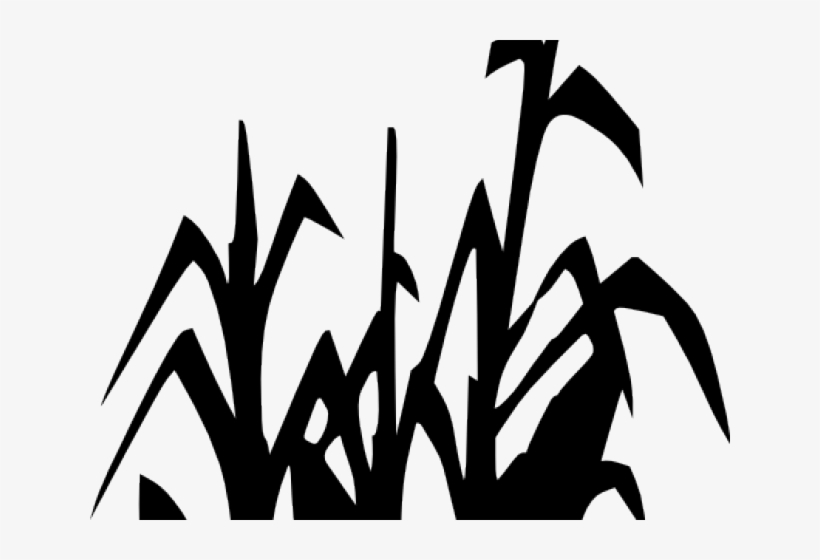Corn Stalks Clipart - Limitless Horizons Ixil, transparent png #3845057