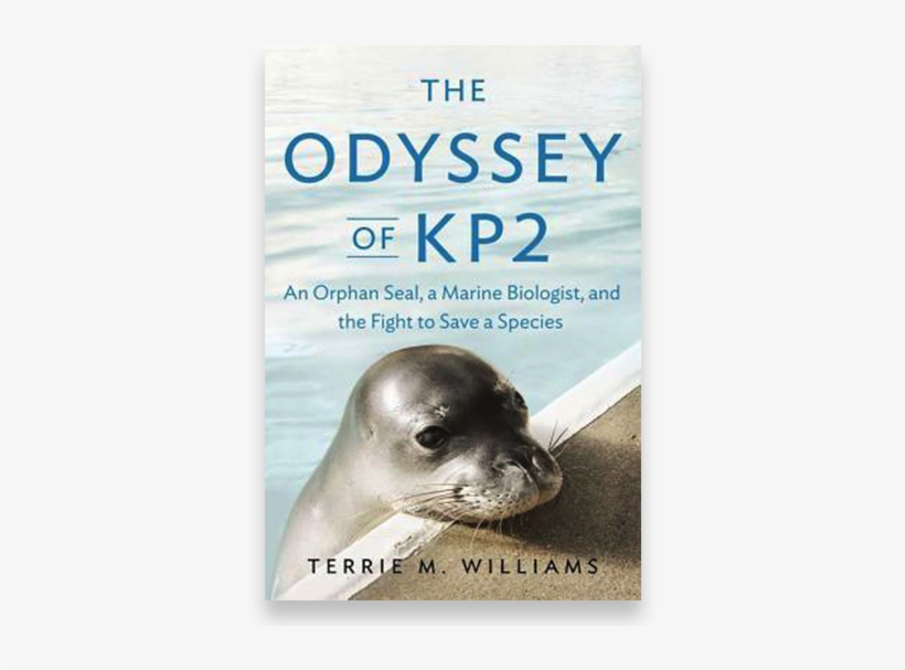 New Book By Ucsc Biologist Highlights Efforts To Save - Odyssey Of Kp2: An Orphan Seal, A Marine Biologist,, transparent png #3845706