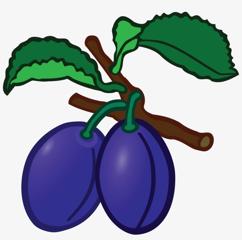 , , - Plum Clipart Png, transparent png #3845786