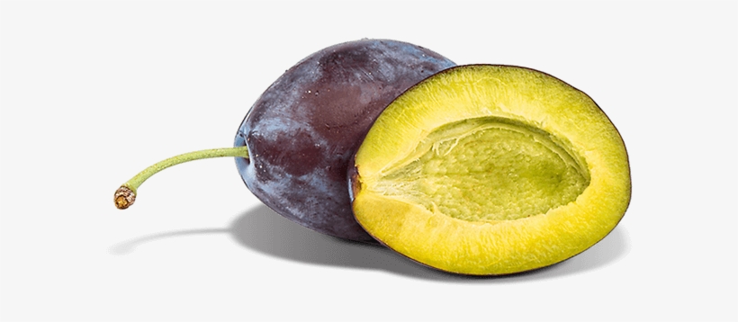 Photograph, transparent png #3846135