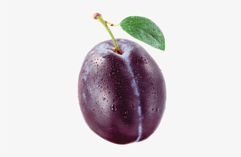 Plums - Single Plum, transparent png #3846371