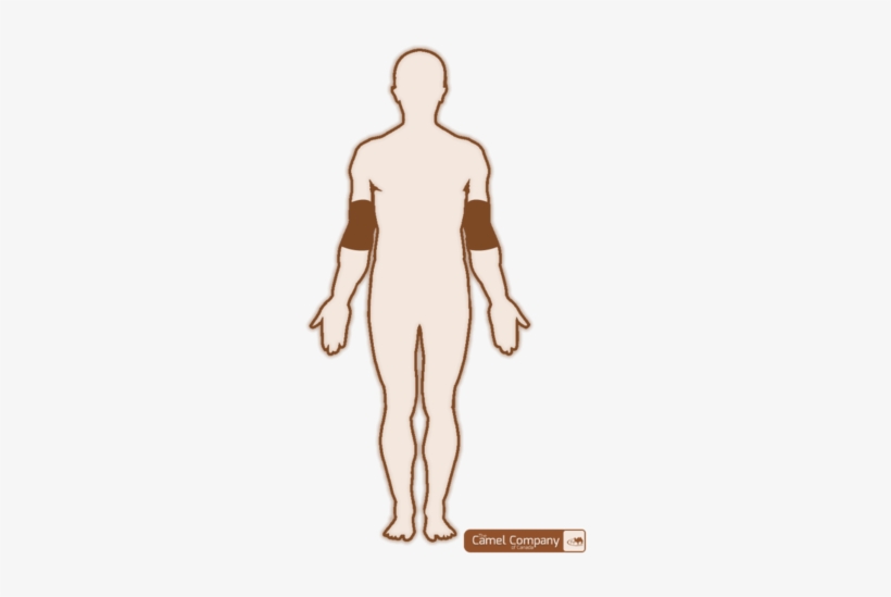 Camel Heal Joint Support - Camel, transparent png #3847285