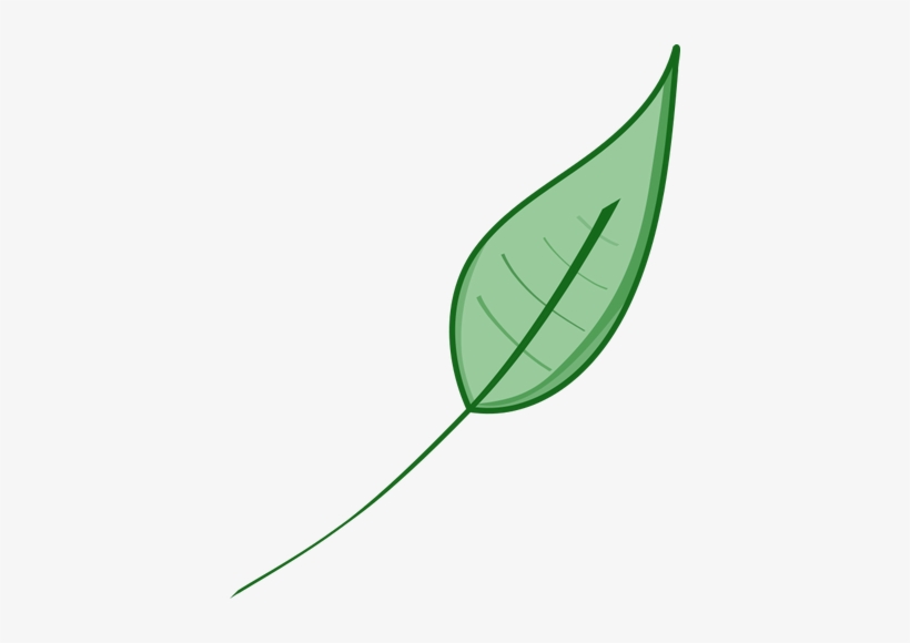 Sage Tea Referred To As Apocalyptic Potion Is Somewhat - صور اوراق شجر رسم, transparent png #3847682
