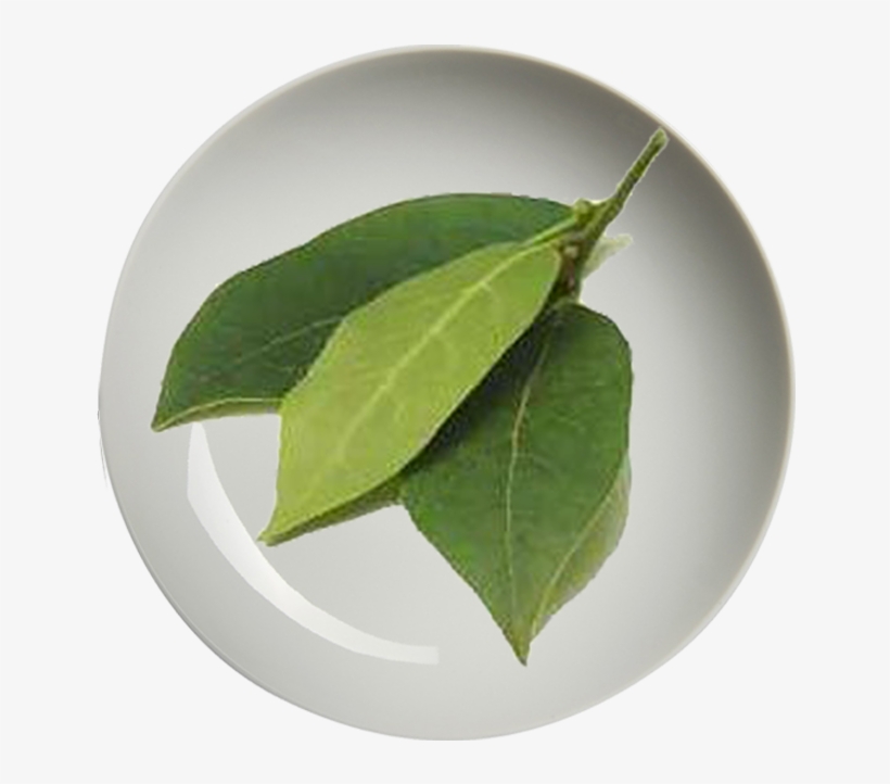 Mariza Daun Salam Kering 25g - Frozen Vegetables, transparent png #3847978