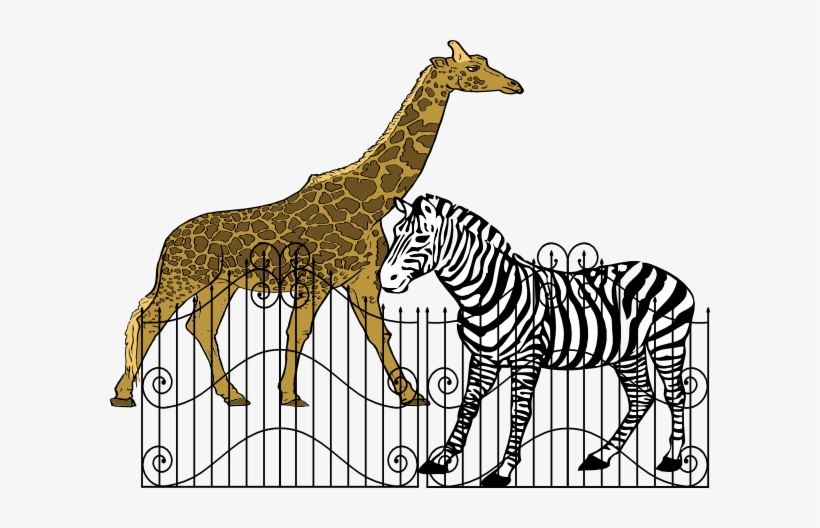 Animals In Zoos Clipart, transparent png #3848454