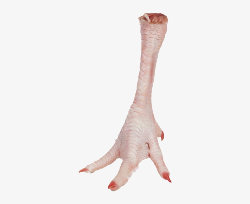 Chicken Leg Png Download - Chicken Feet Transparent Background, transparent png #3848625