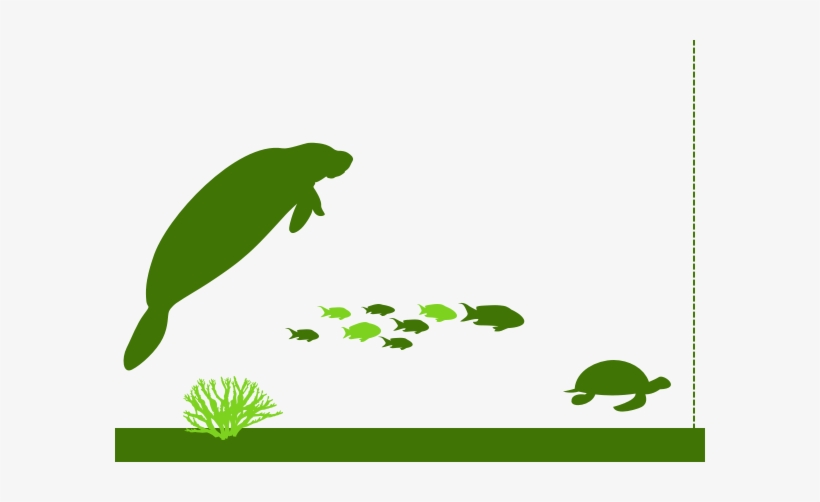 Water Water - Illustration, transparent png #3849131