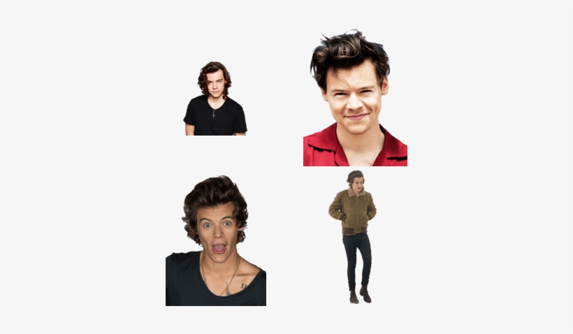 Harry Styles - Harry Styles Transparent Funny, transparent png #3850667