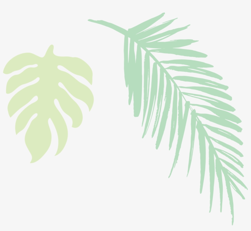 2019 Jungle Leaves Light - Darkness, transparent png #3851344