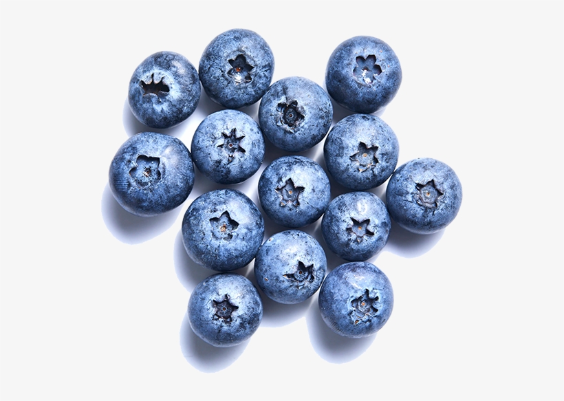 Blueberry-individuallg - Blueberry, transparent png #3851533