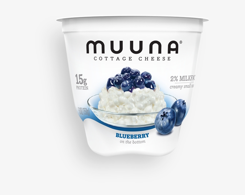 Blueberry - Muuna Cottage Cheese 16 Oz, transparent png #3851593