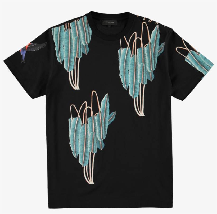 Ashley Marc Hovelle - Clothing, transparent png #3851634