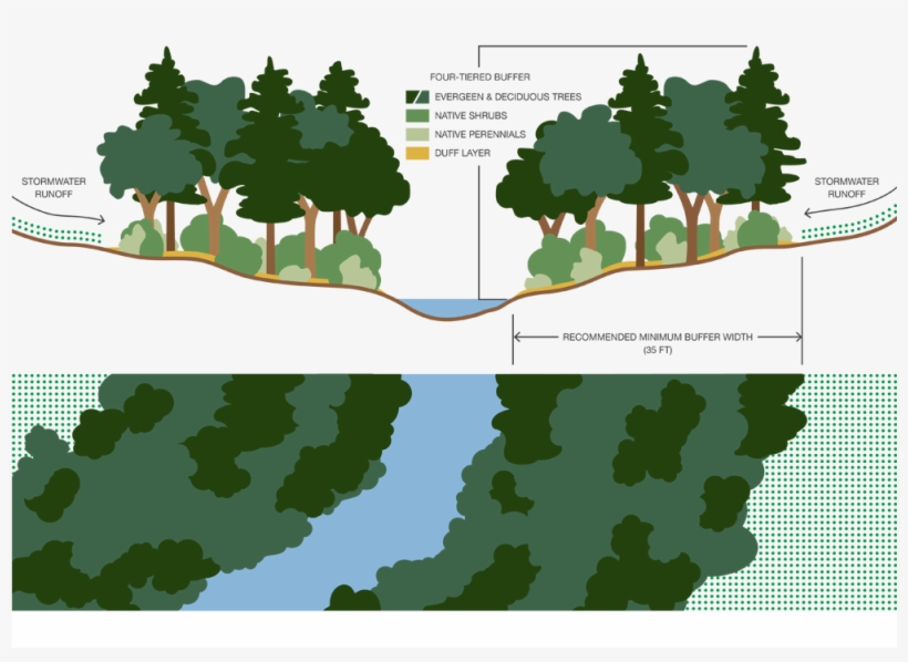 Stream Corridor Buffer S - Wetland Buffer, transparent png #3852143