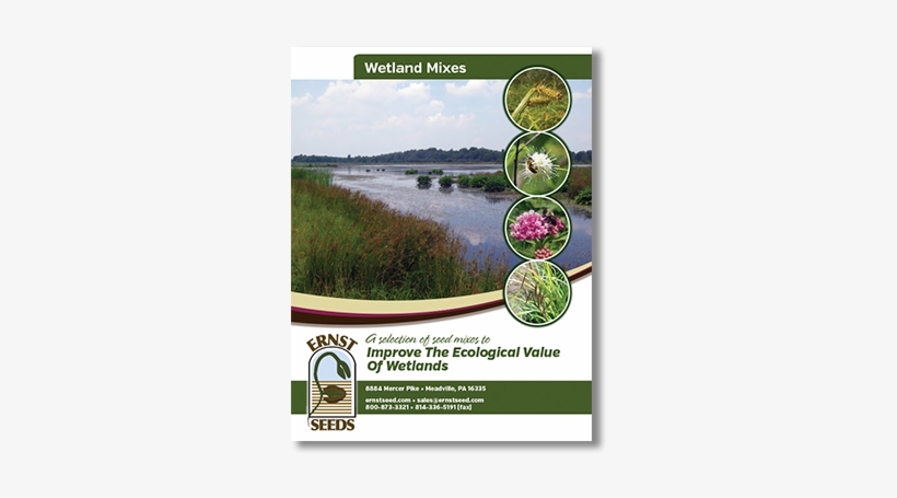 Wetland-mixes - Wetland, transparent png #3852557