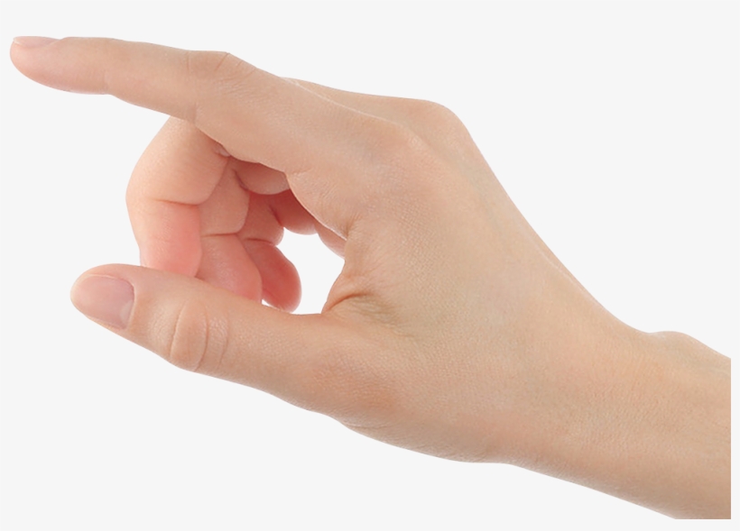 The 2-gang Design Enables You To Control And Monitor - Music Flowerpot,smart Plant Pots,touch Music Plant, transparent png #3852616