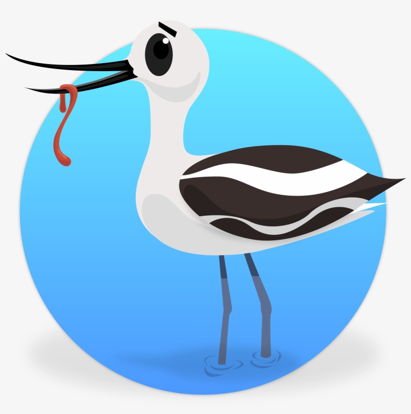 I'm Avery The Avocet, Your Guide Through The Wetlands - Crane-like Bird, transparent png #3852771