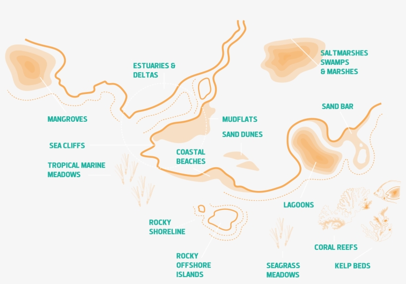 Where Land Meets Water - Diagram, transparent png #3852844