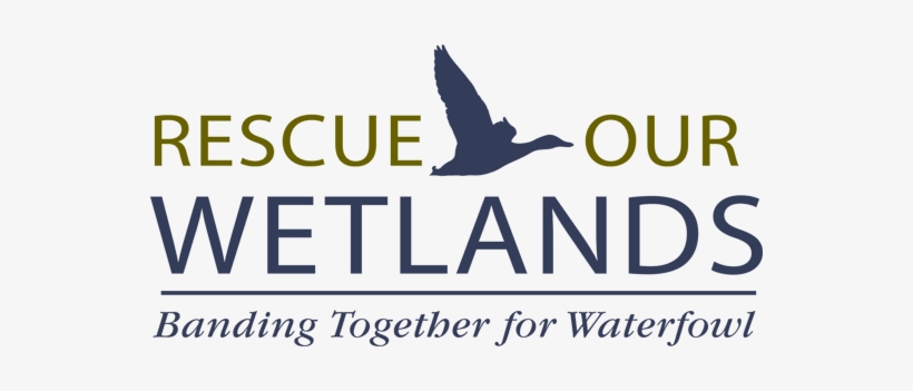 The Campaign Priority At The Heart Of Rescue Our Wetlands - Understanding Flying Weather [book], transparent png #3853116