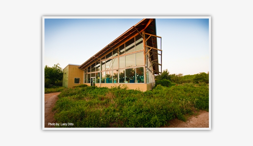 Old Hidalgo Pumphouse - Wetlands Edinburg Texas, transparent png #3853304