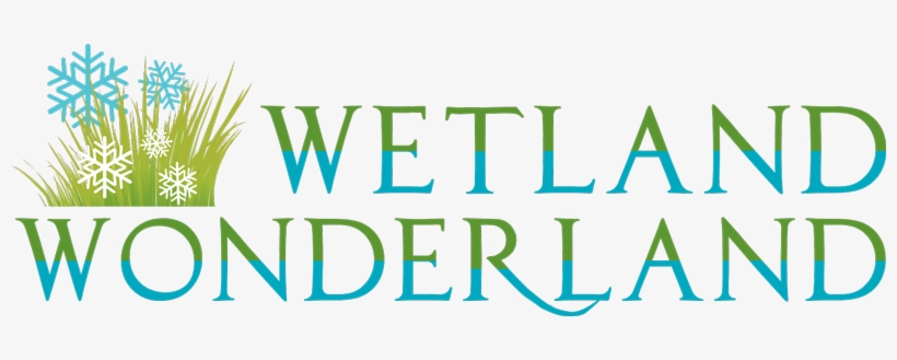Wetland-wonderland, transparent png #3853392