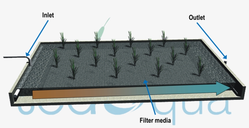 Diagram Of A Horizontal Flow Wetland - Roof, transparent png #3853397