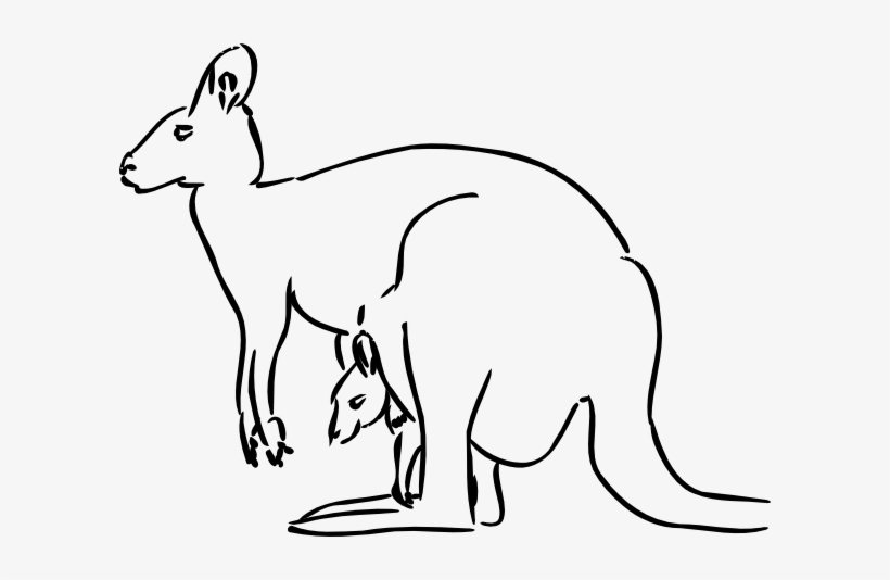 How To Set Use Kangaroo Svg Vector, transparent png #3853537