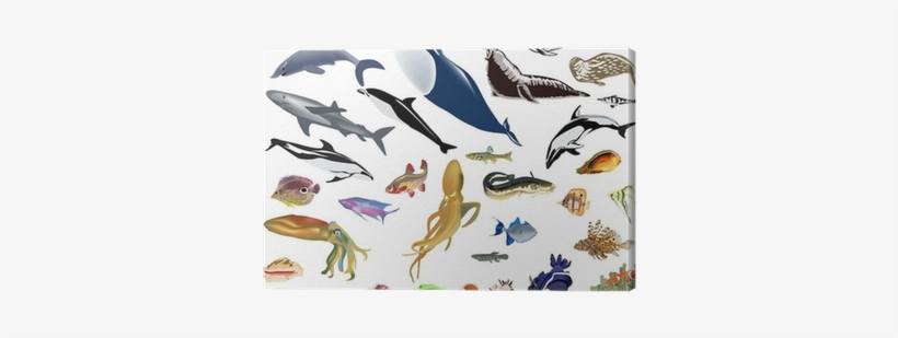 Large Set Of Color Sea Animals Canvas Print • Pixers® - Animales Del Mar A Colores, transparent png #3854194
