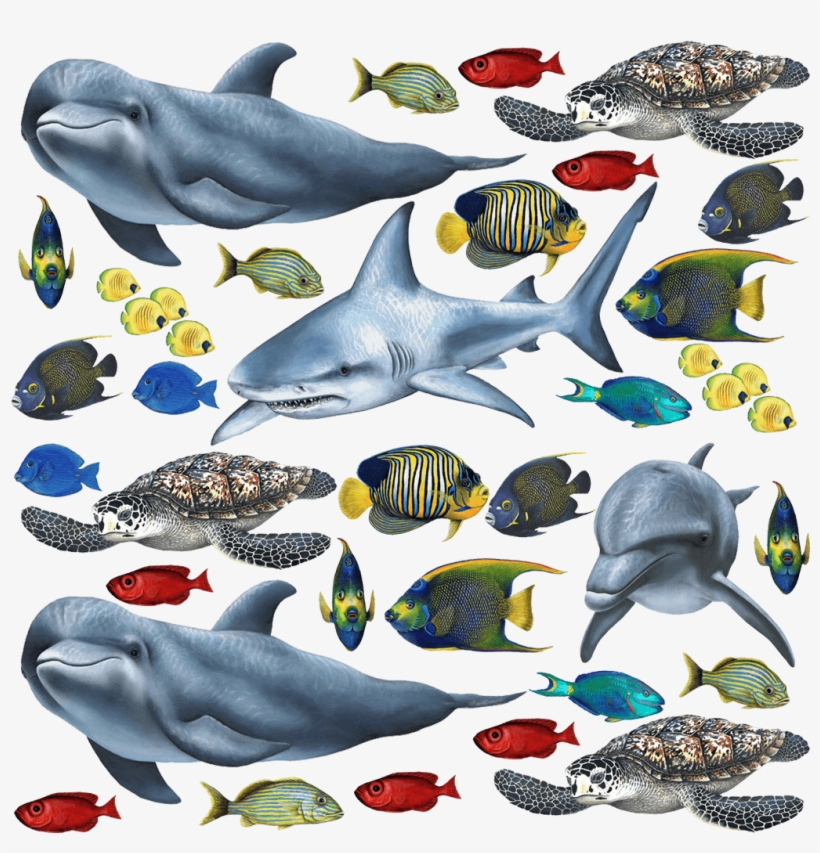 Tropical Fish And Sea Creatures Collection Economy - Fish And Sea Creatures, transparent png #3854469